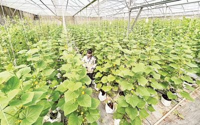  Khoảng 2.000 hợp tác xã nông nghiệp ứng dụng công nghệ cao vào sản xuất