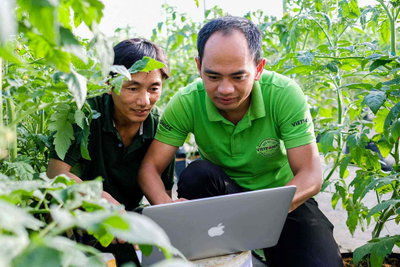 Nông sản bứt tốc chuyển đổi số từ trang trại đến thị trường