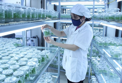 Khoa học công nghệ là "đòn bẩy" để ngành NN-MT bứt phá trong kỷ nguyên số