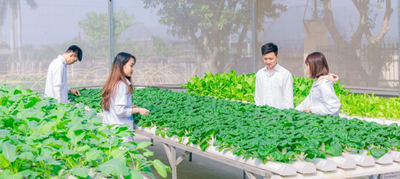 Thúc đẩy nông nghiệp thông minh